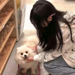 开心顺风车领红包